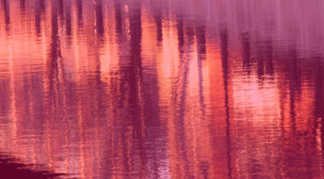 close-up reflection in water with red tints