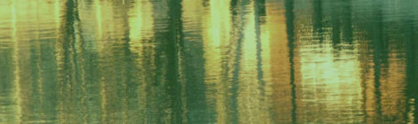 close-up reflection in water with green and yellow tints