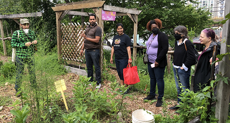 Several seminar participants visiting Smiling Hogshead Ranch, an urban farm and food justice project in Long Island City, Queens, NYC