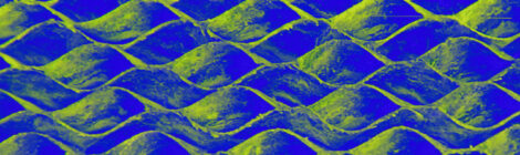 abstract image of flowing organic shapes in green and dark blue